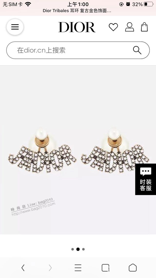 Dior飾品 2021新款DIOR迪奧字母耳釘耳環  zgd1398